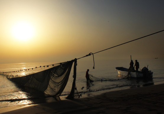 عائشة صالح خدوم السعدي